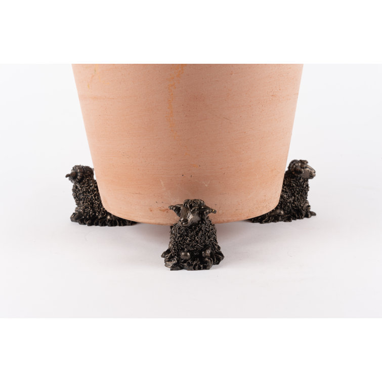 Jardinopia Ram Bronze Coloured Planter Feet In Gift Box Wayfair Canada